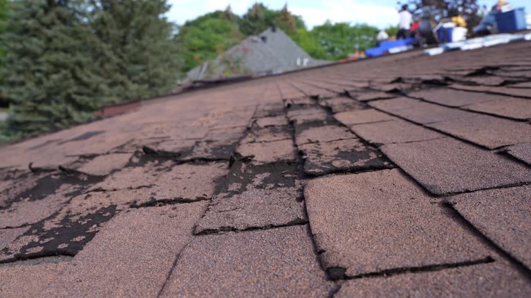 Best Asphalt Shingle Roofing  in Wilmington, DE