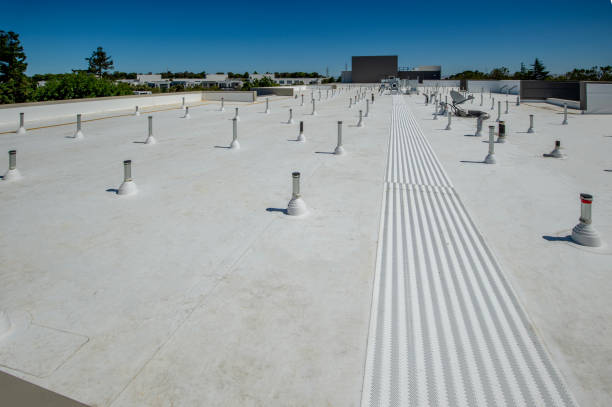 Best Roof Coating and Sealing  in Wilmington, DE